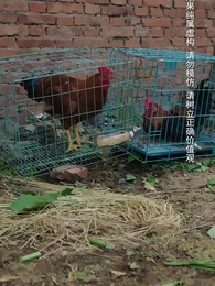 第1集 - 跟我回家