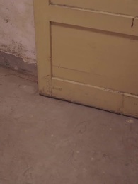 跟我回家 - Episode 16