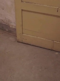 16화 - 함께 집으로