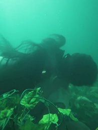 荒島探寶 - Episode 20