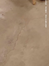 第5集 - 無盡的愛