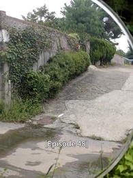 Awakening: The Cruelty of Special Class Admissions  - Episode 48