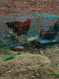 1화 - 함께 집으로