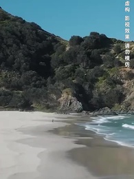 荒島探寶 - Episode 17