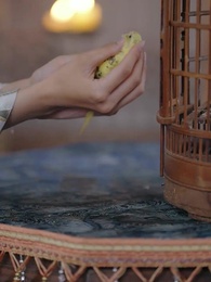 Tập 58 - Mây Hoạ Ánh Trăng