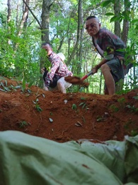 第22集 - 望子歸來