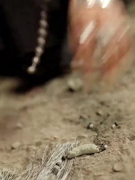 Bí Ẩn Di Sản Của Lão Tổ - Episode 11