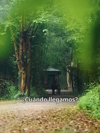 Cuerdas de Amor - Episode 63