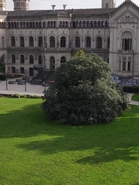 Nenn mich Liebe, Professor - Episode 15