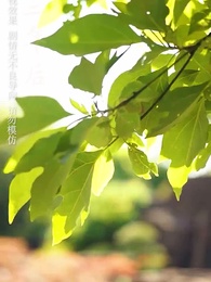 萬夫莫敵 - Episode 6