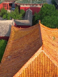 Episodio 49 - [Doppiato]Intrighi di Corona