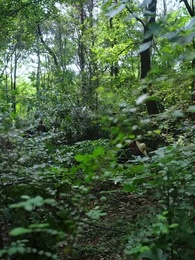 望子歸來 - Episode 20