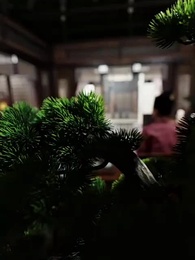 血脈と商道：戦争と平和 - Episode 59