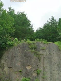 ตอนที่ 2 - ไทเฮาจากหญิงหาปลา