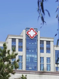 Episode 50 - A Love Beyond Words