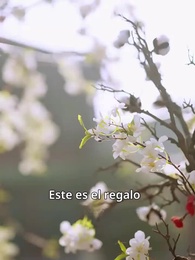 Episodio 11 - Encuentro con la Estrella