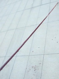 Episódio 42 - Quando a Neve Acaba de Parar