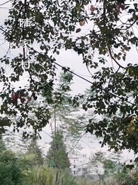 花開歲歲暖 - Episode 1