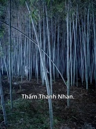 Tập 1 - Đại Náo Chốn Nhân Gian