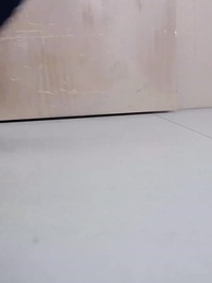 第54集 - 花開歲歲暖