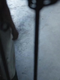 Tập 36 - Giữa Màn Sương Mù