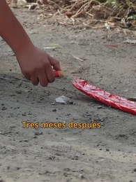 Cae la máscara - Episode 49