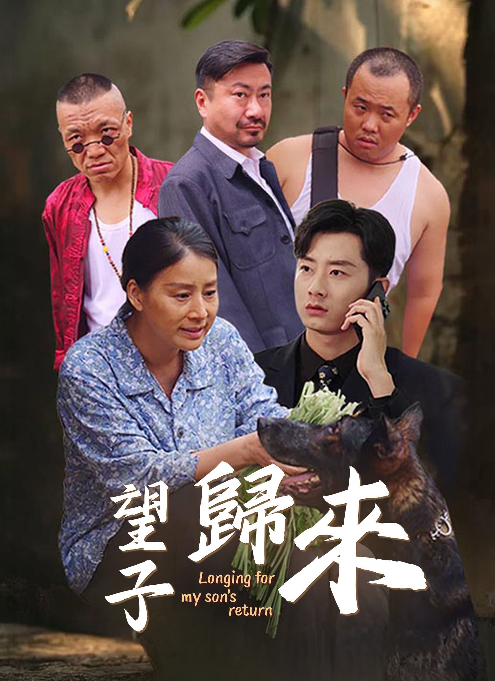 《望子歸來》封面