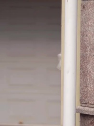 16화 - 핏줄의 심판