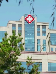 Tập 38 - Giữa Màn Sương Mù