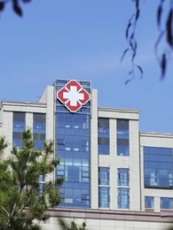 Episodio 12 - Cae la máscara