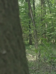 [Dubbing]Andika Sang Praktisi - Episode 67