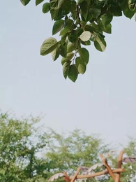 23화 - 향수 뿌리지마