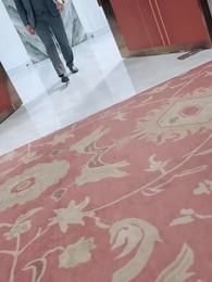 Herdeiro sem Saber - Episode 51