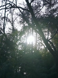 حكاية الزوجة القوية والزوج المتخفي - Episode 6