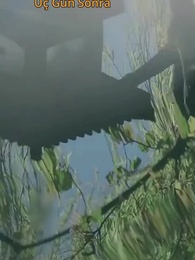 Bölüm 56 - İntikam zamanı