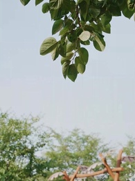 No more Fragrance! - Episode 23