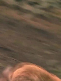 الحلقة 18 - حكاية الزوجة القوية والزوج المتخفي