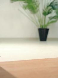 偽りの代償～復讐は携帯から始まった～ - Episode 2