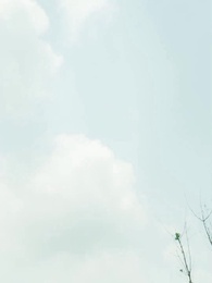 40화 - 다정할수록 불순한