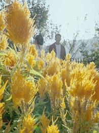 神龍出淵 - Episode 66