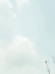 Kindness with a Twist - Episode 40