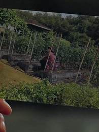 Kindness with a Twist  - Episode 18