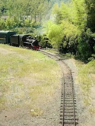 Episode 49 - Rebirth to 70s: Breaking Free from the Family Drama