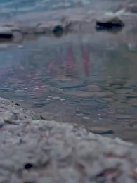 神龍出淵 - Episode 3