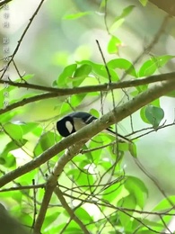 不待春風慢 - Episode 69