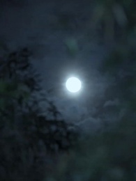 亂世悲歌 - Episode 1