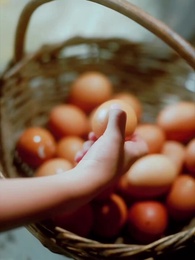 Episódio 1 - Sou Estrela de Sorte