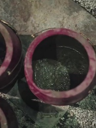 Episode 42 - [Dubbing]Istriku adalah Iblis Ular