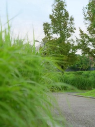 10화 - 다정할수록 불순한