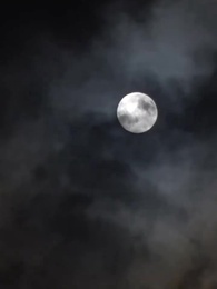 第15集 - 出獄後大佬媽咪颯爆全球